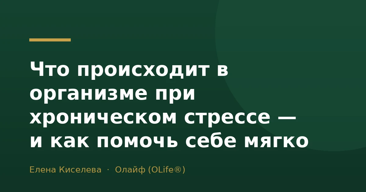 Что происходит в организме при хроническом стрессе — и как помочь себе мягко