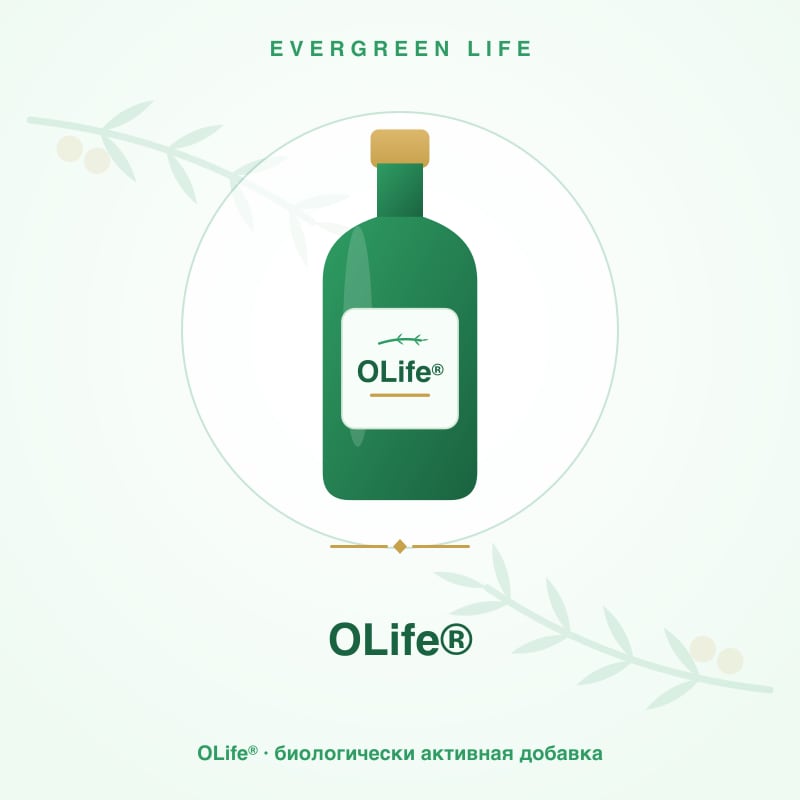 OLife® — Настой листьев оливы и цветков календулы