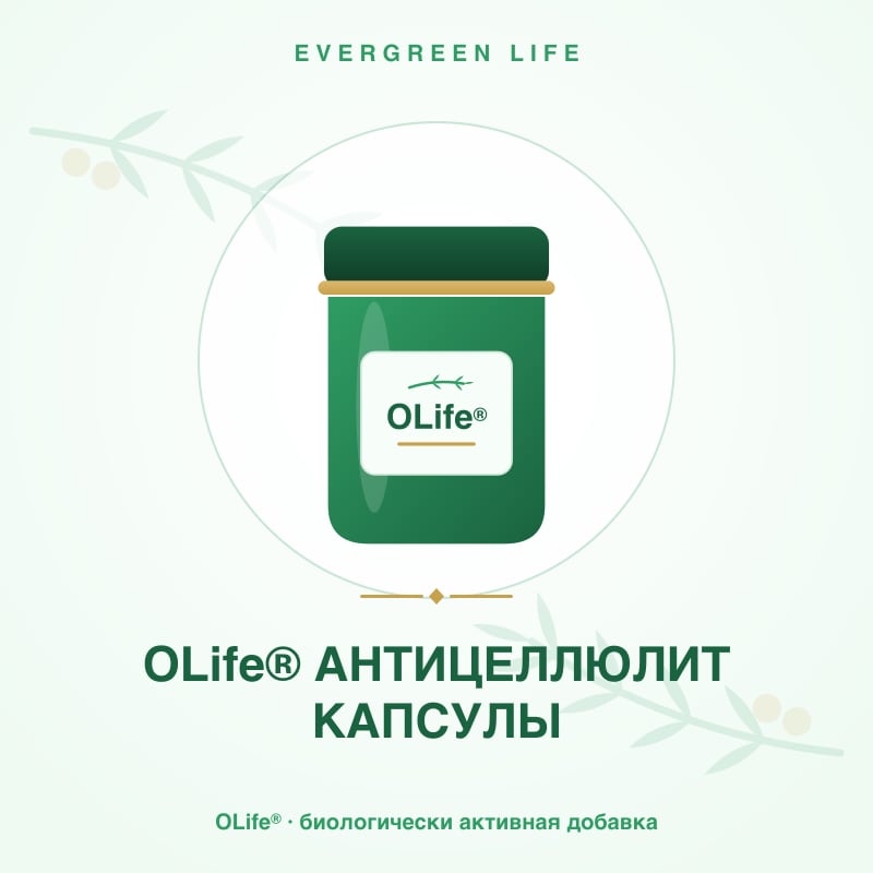 OLife® АНТИЦЕЛЛЮЛИТ КАПСУЛЫ — 56 капсул — каштан конский, бромелаин