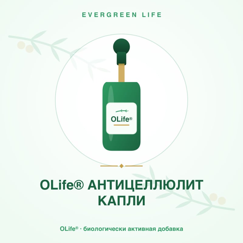 OLife® АНТИЦЕЛЛЮЛИТ КАПЛИ — 49 мл — центелла, мелилот, бромелаин