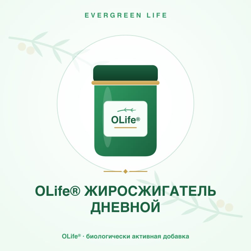 OLife® ЖИРОСЖИГАТЕЛЬ ДНЕВНОЙ — 56 капсул — зелёный чай, горький апельсин, гуарана