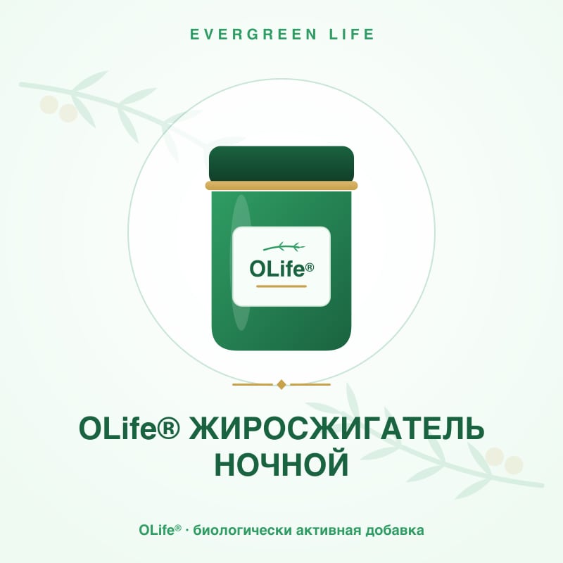 OLife® ЖИРОСЖИГАТЕЛЬ НОЧНОЙ — 56 капсул — берберин, горькая дыня, триптофан