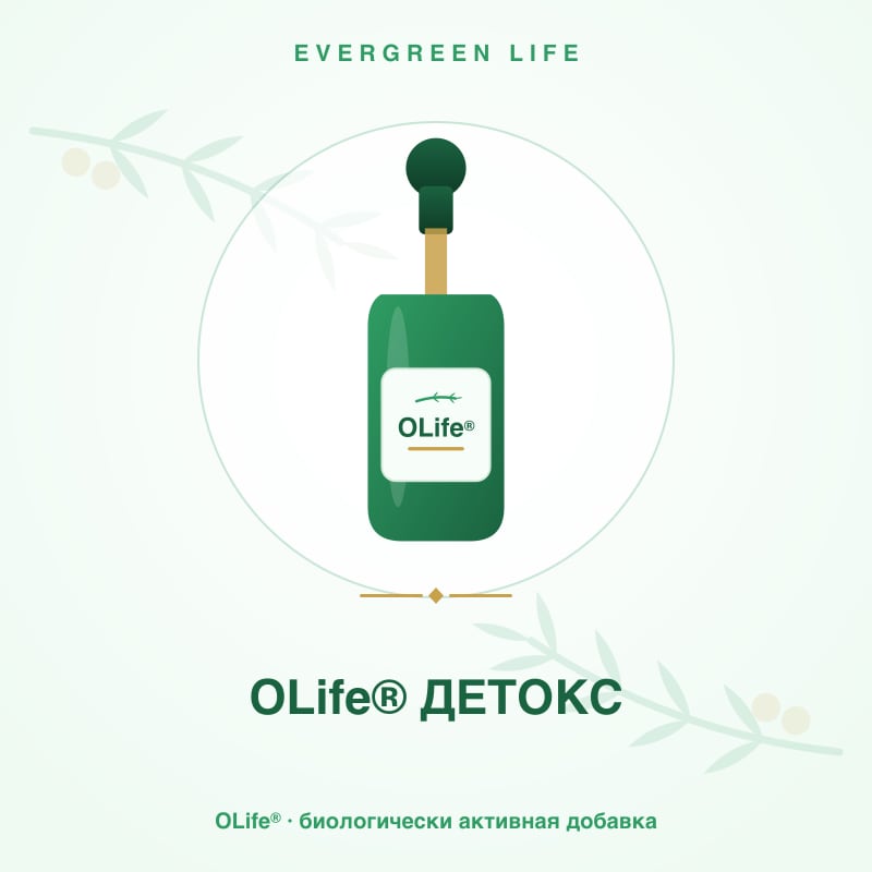 OLife® ДЕТОКС — 49 мл — артишок, схизандра, корень лакрицы