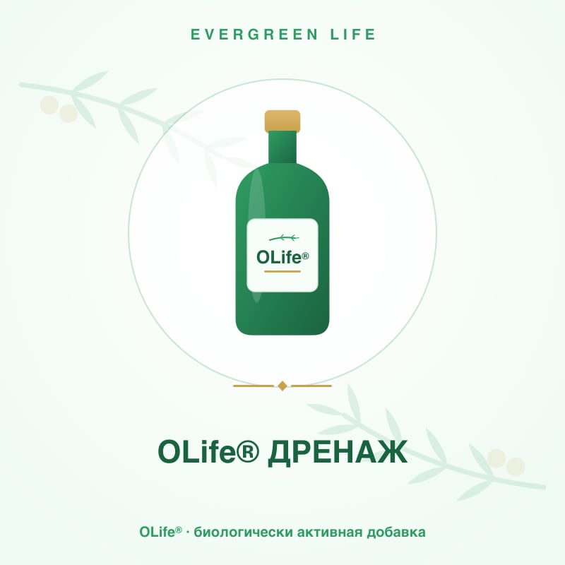 OLife® ДРЕНАЖ — 280 мл — гибискус, ройбуш, ананас