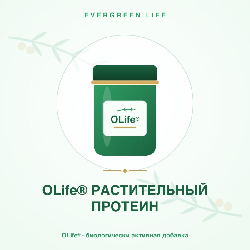 OLife® РАСТИТЕЛЬНЫЙ ПРОТЕИН — 260 г — горох, нут, рис, овёс + OLIVUM®